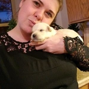 Meet your Posher, Cassandra